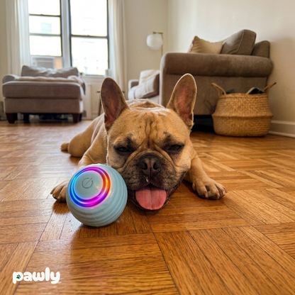 Pawly Ball™