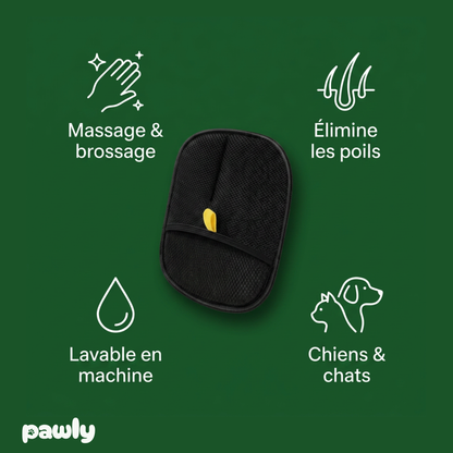 Pawly Glove™